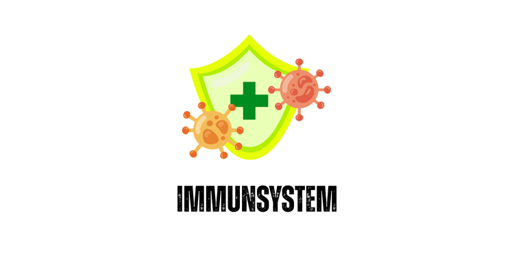 Immunsystem