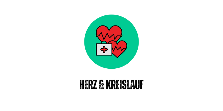 Herz & Kreislauf