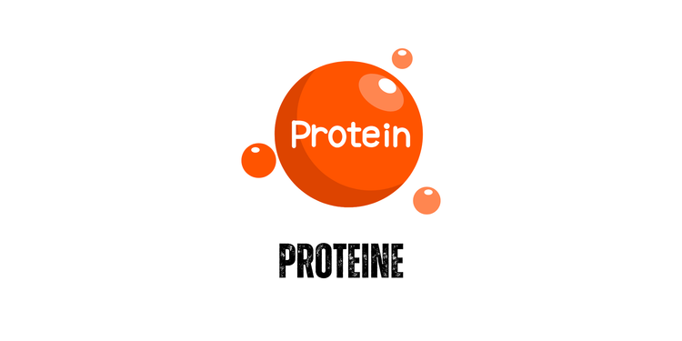 Proteine