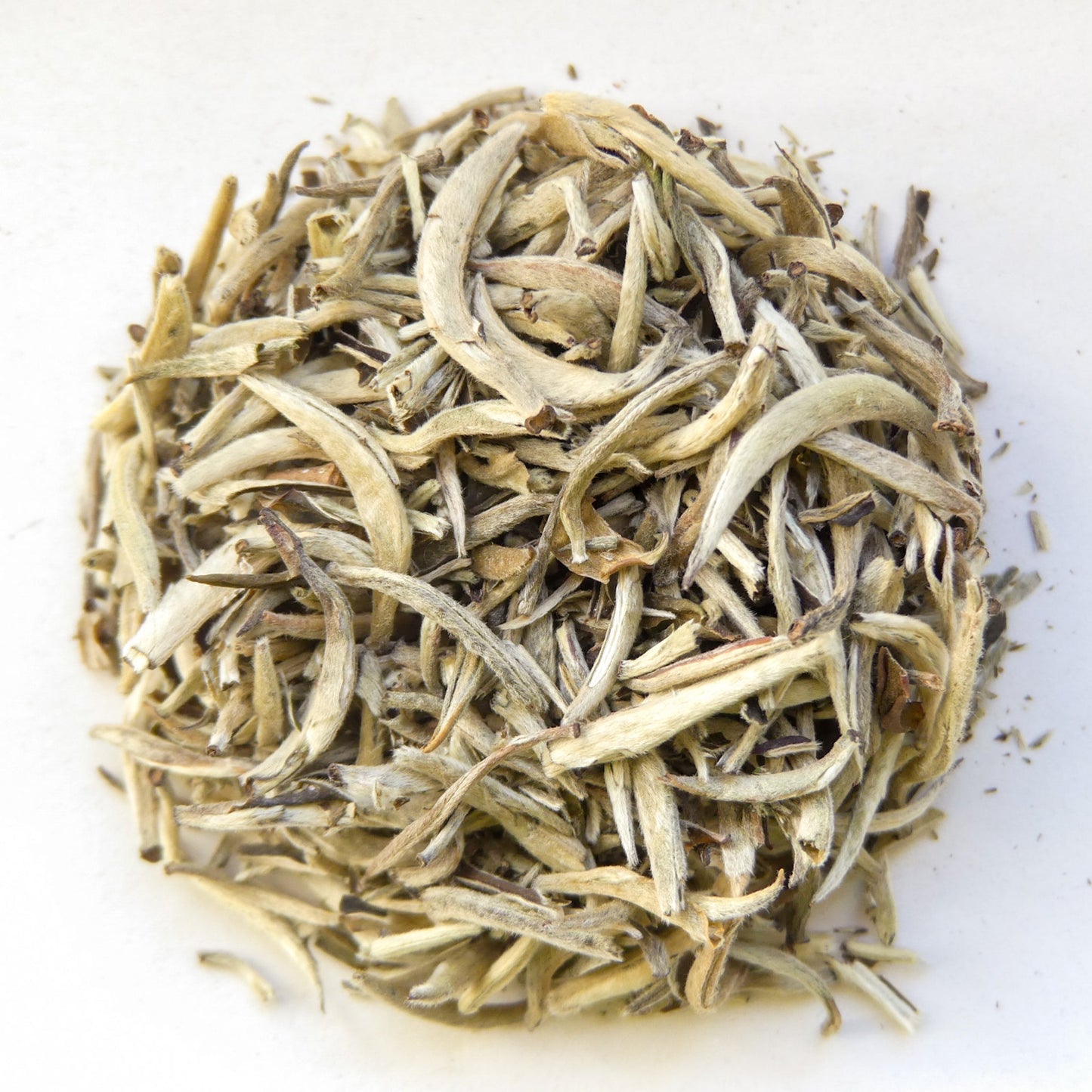 Weißer Tee | Silbernadel Tee | Yinzhen Qualität